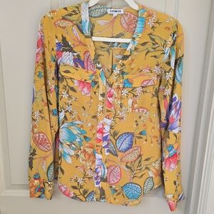 2 For $15! Express V-neck Blouse